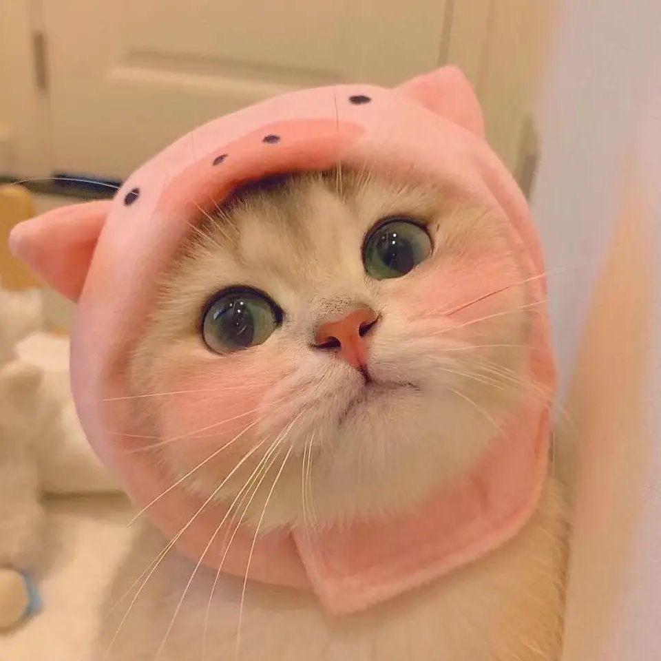 初一