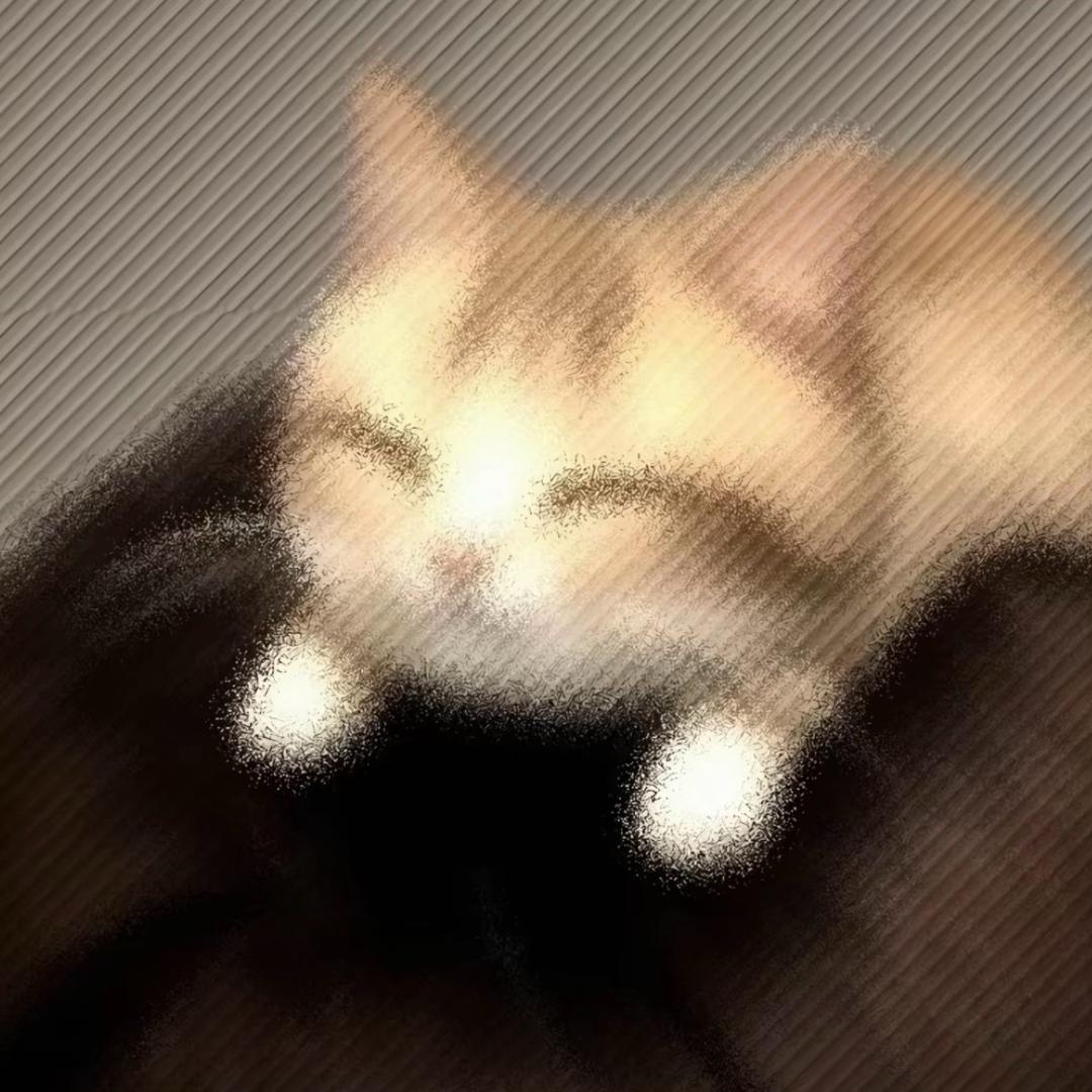 呆