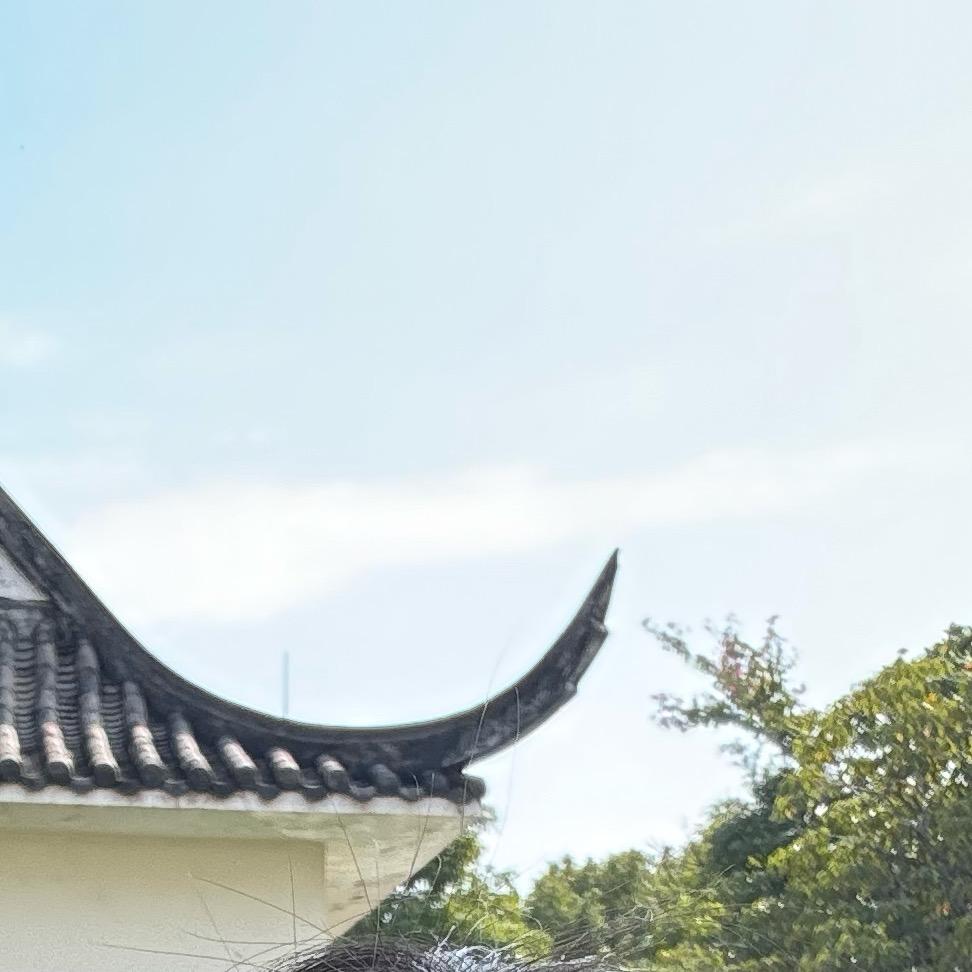 金喜