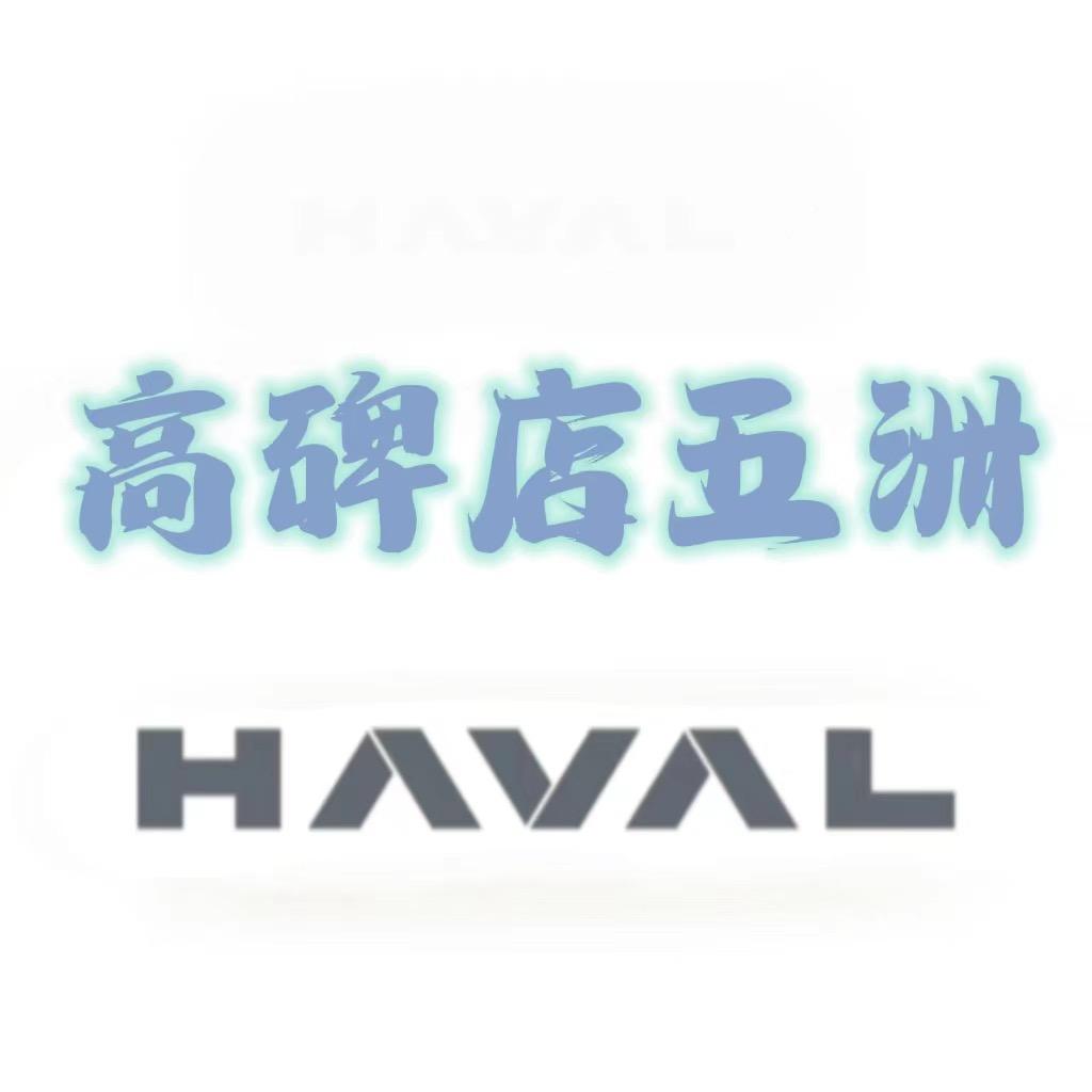 哈弗SUV-高碑店五洲