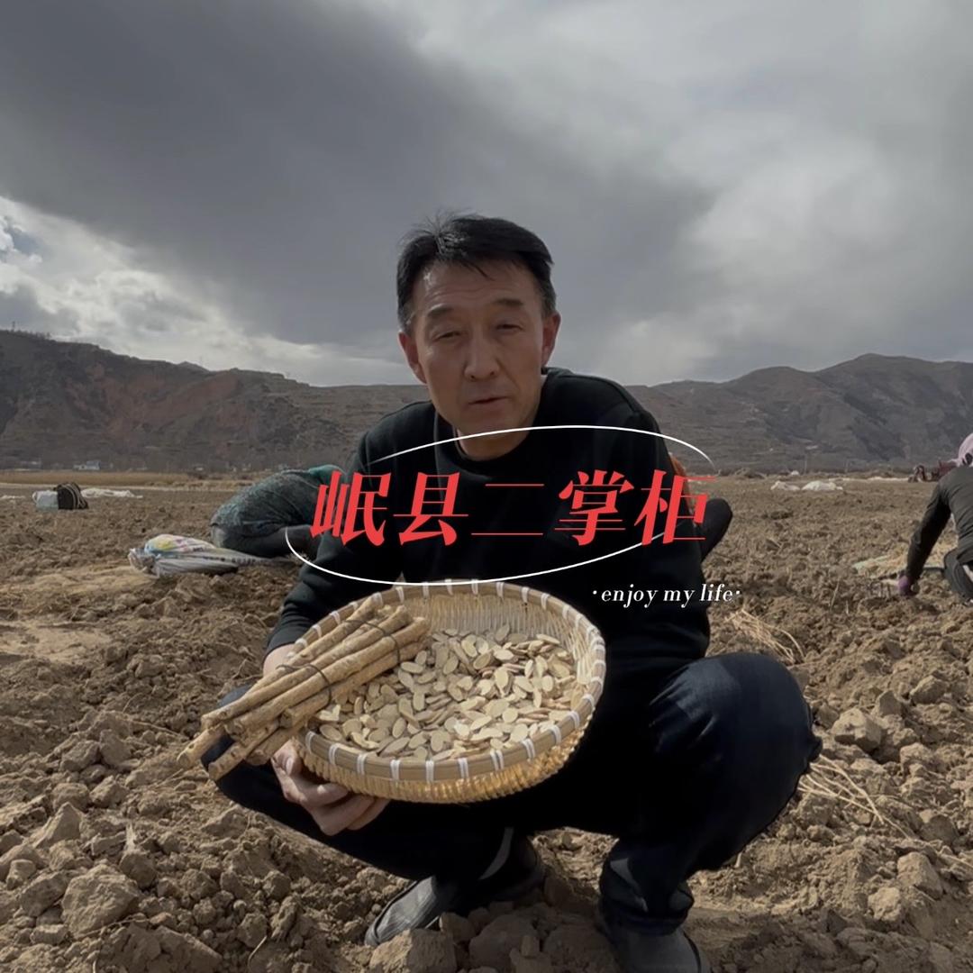 岷县二掌柜黄芪