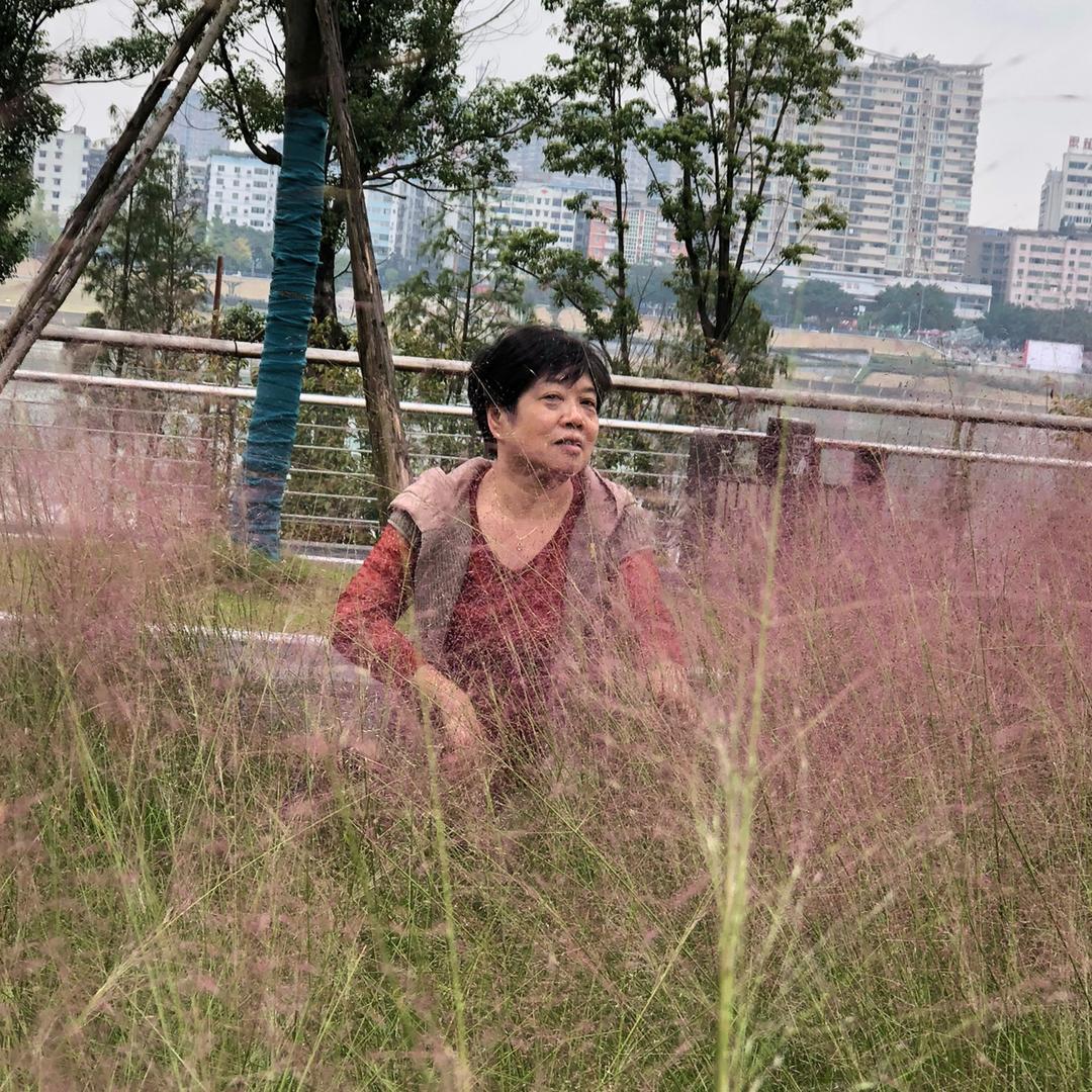 不死鸟