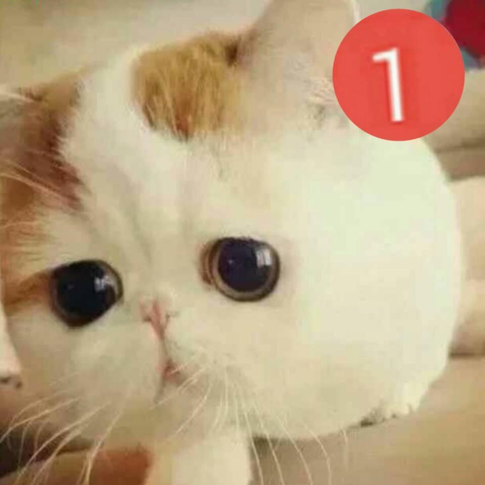 画皮画骨难画心