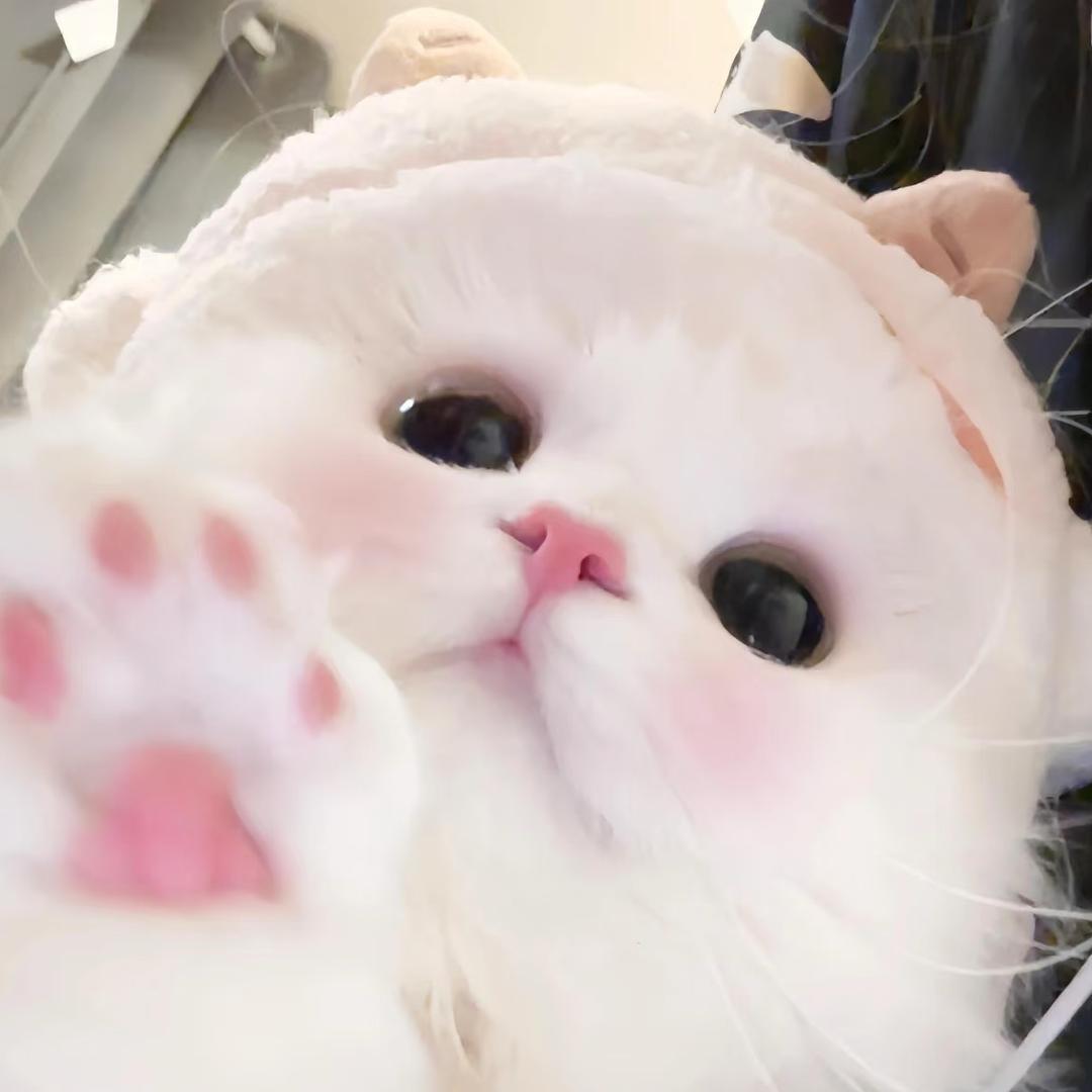 苏溪