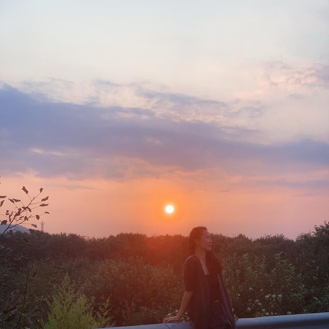 叶子🍃