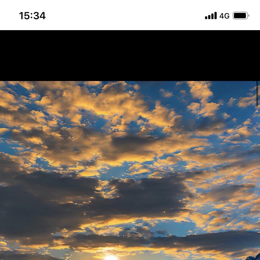 隆鑫真直播一号