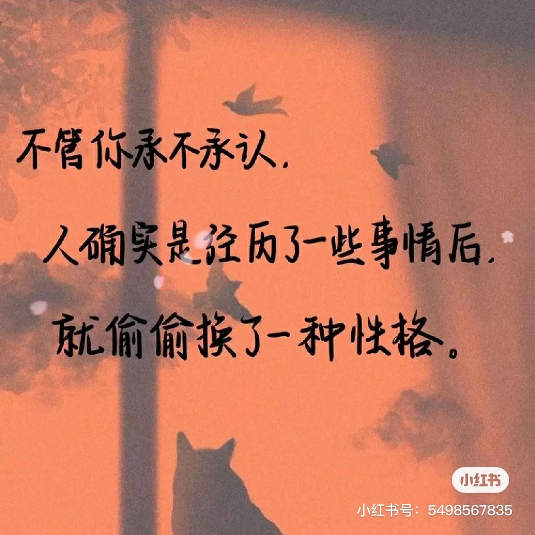 孤勇者