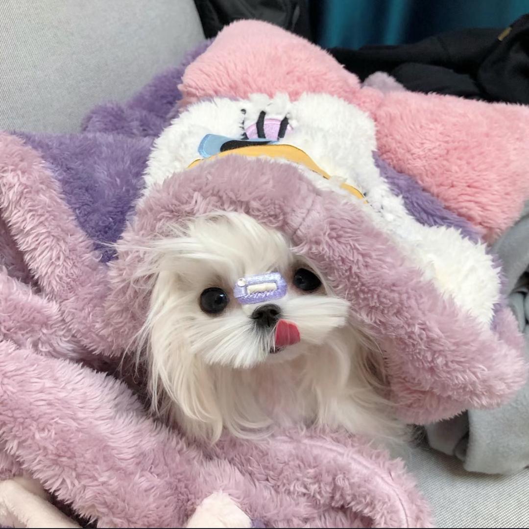 黛玉.