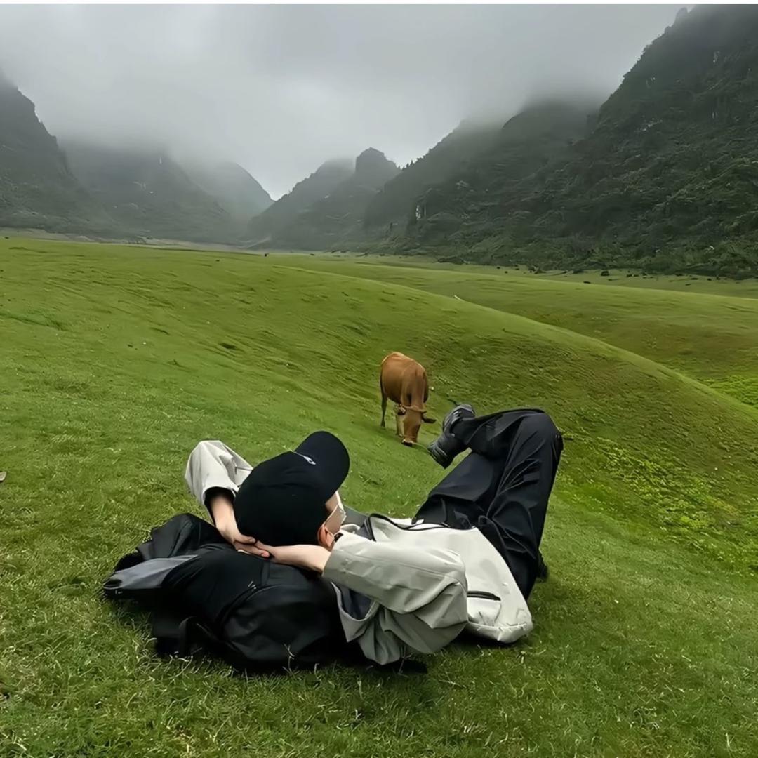 ٩(๑❛ᴗ❛๑)۶'