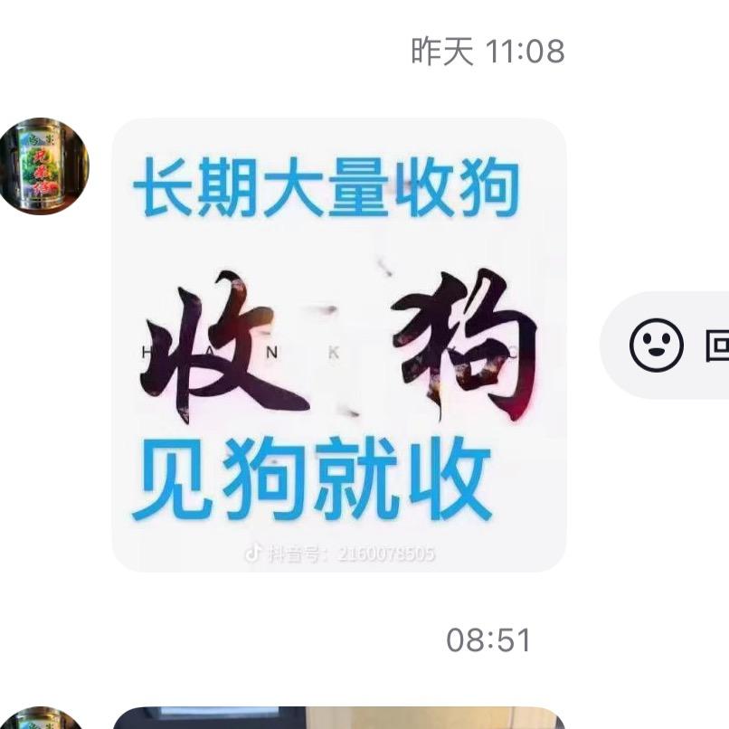 平常心爱养狗有收狗