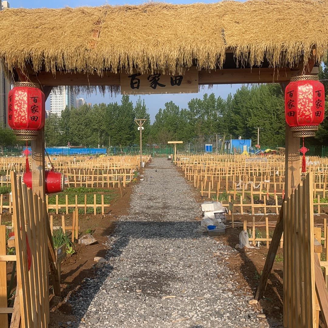 百家田共享菜园