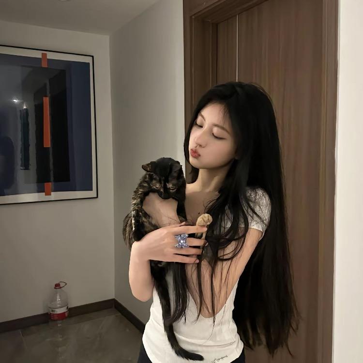 鹿小姐的家
