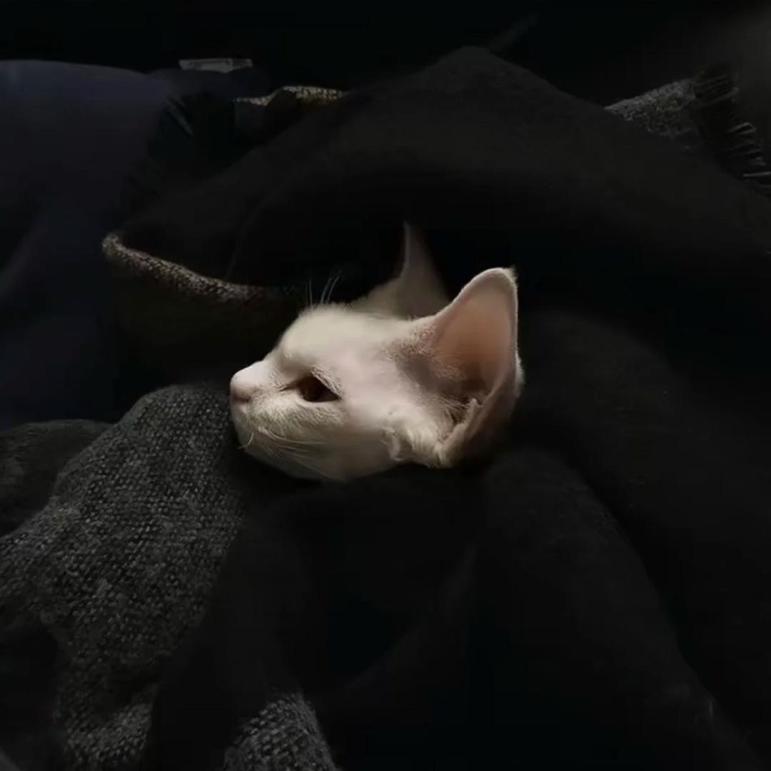 9700