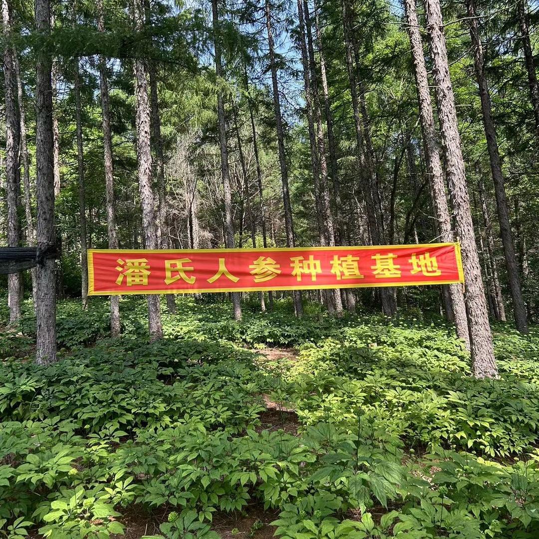 潘氏人参专营店 授权号