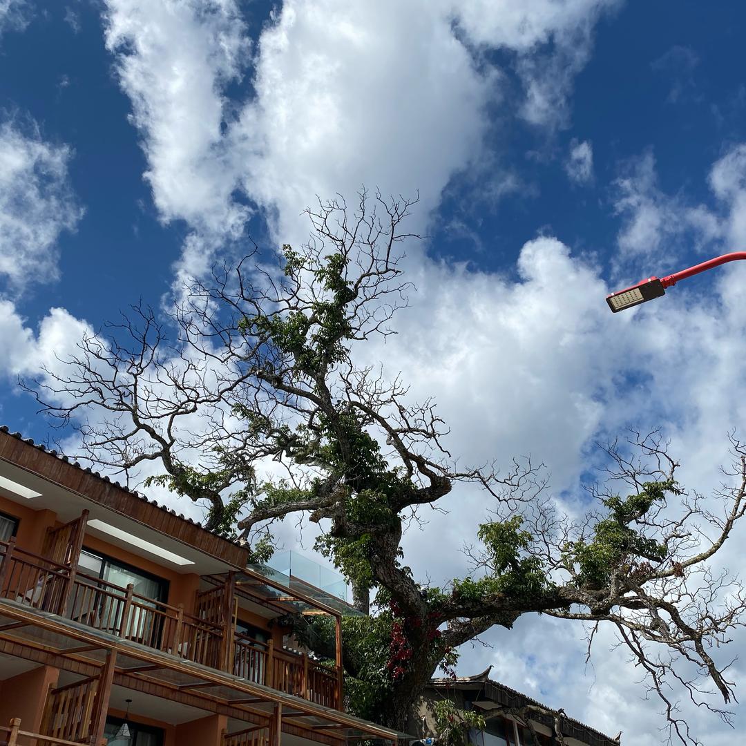 小鱼儿百货供应