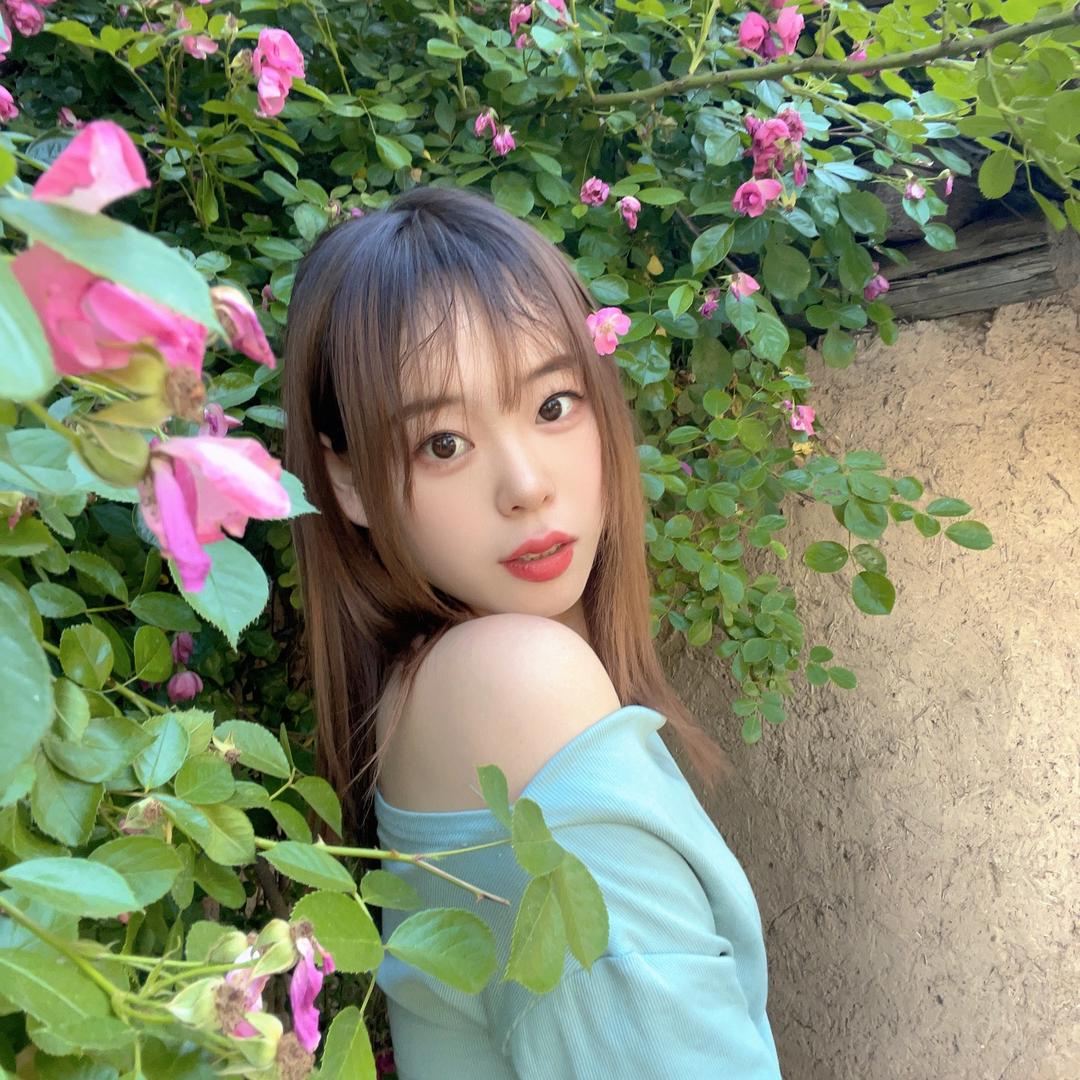 是小杨吖