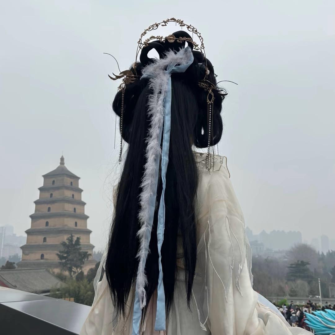 哈喽灰灰