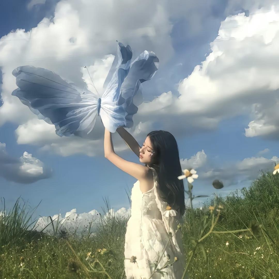 流 星       💕