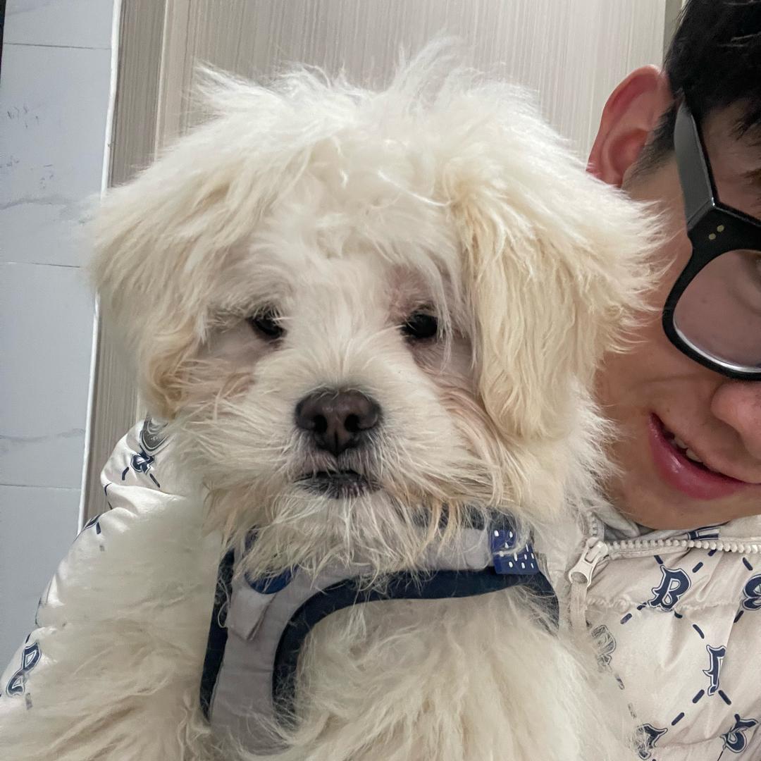 6️⃣k的发财日记本📓