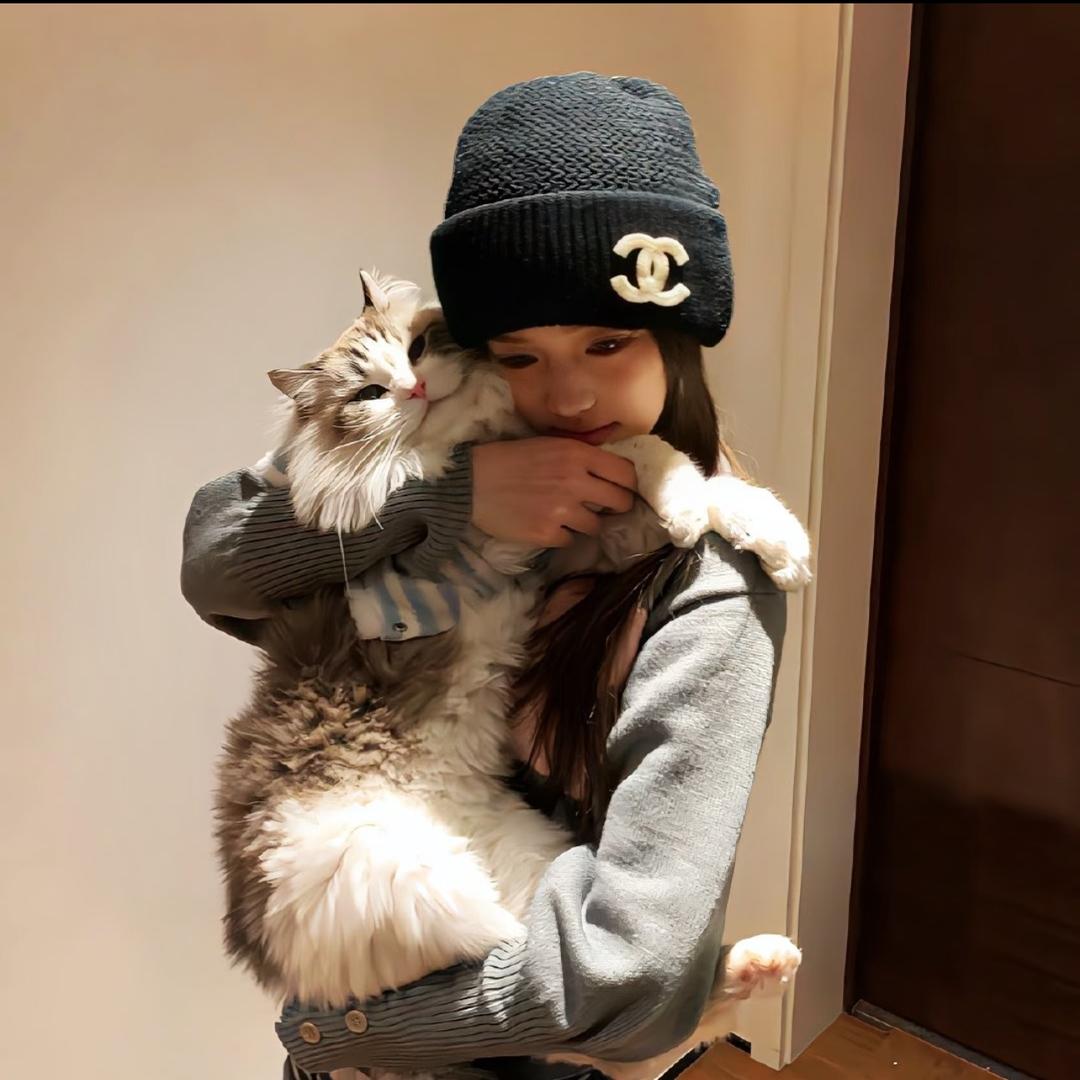 会有晚安吗.