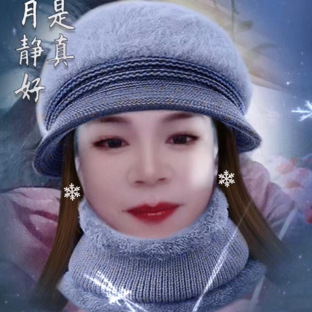 冬季的玫瑰
