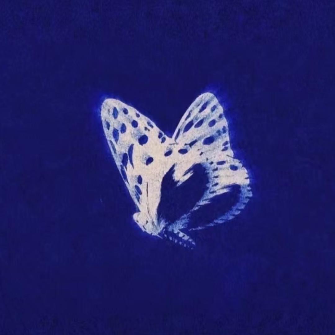 来碗腰子