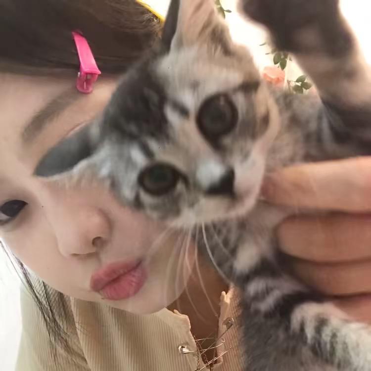 冷裤婷少