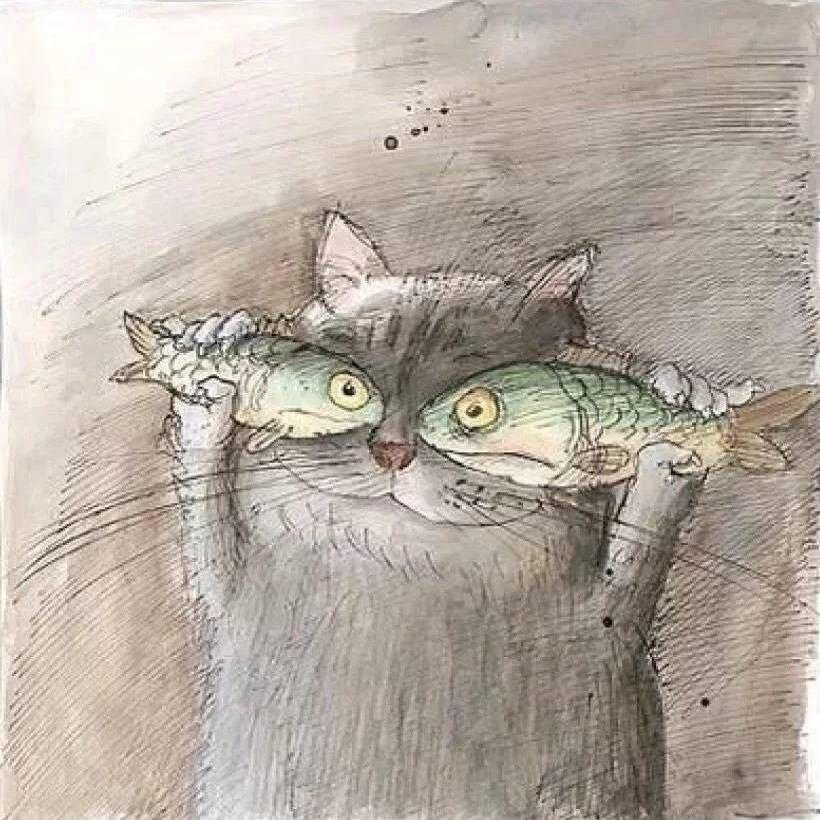 小魚🐟