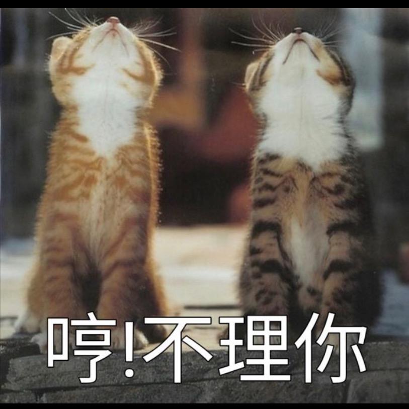 我嘞个乖乖豆儿