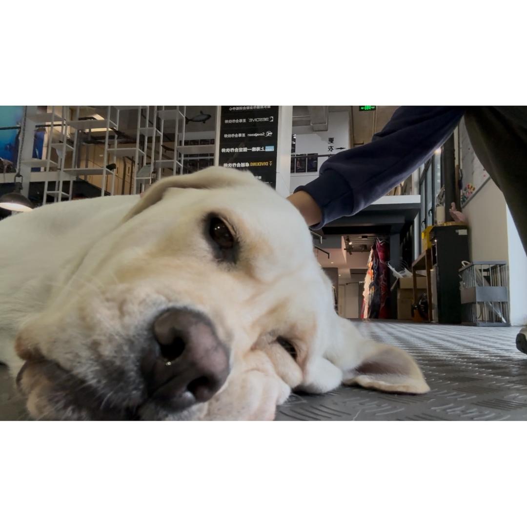 是吃了无敌星星✰✰的杰瑞⌁ ⌁ ⌁