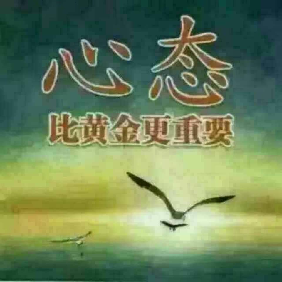 佳宗纺织（服装面料，箱包，旅游用品）