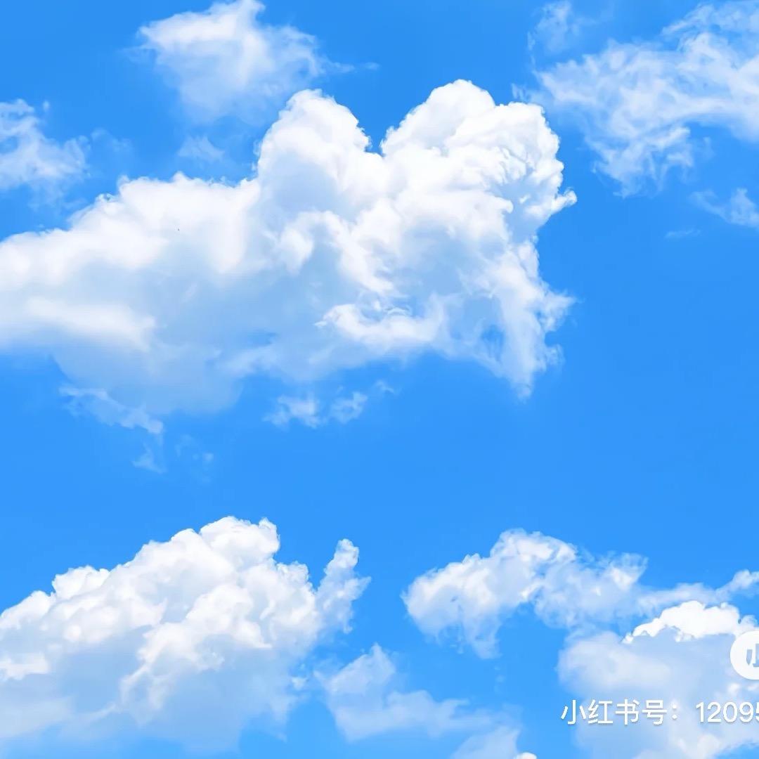 表哥（小跟班¹⁹⁸)⚜️