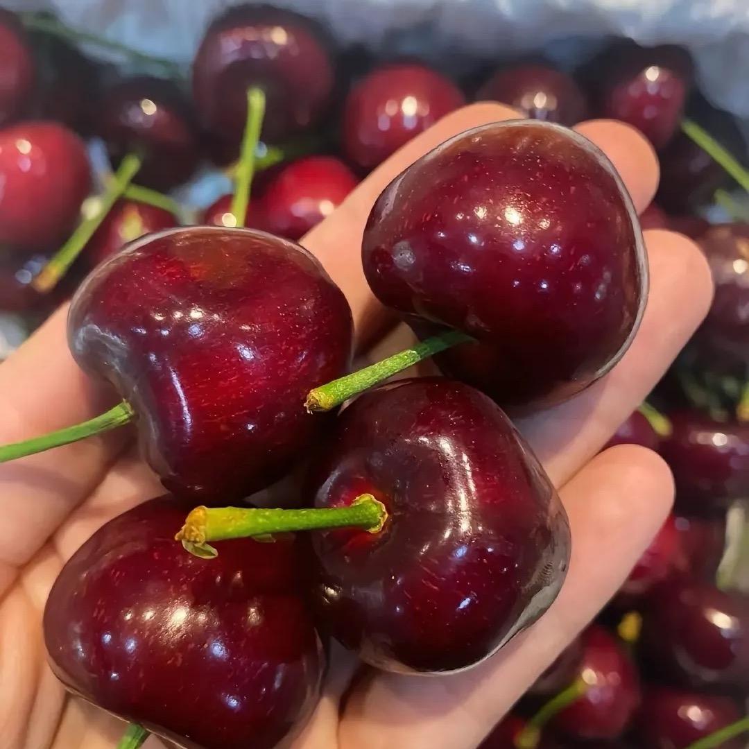 上海辉展🍒车厘子🍒