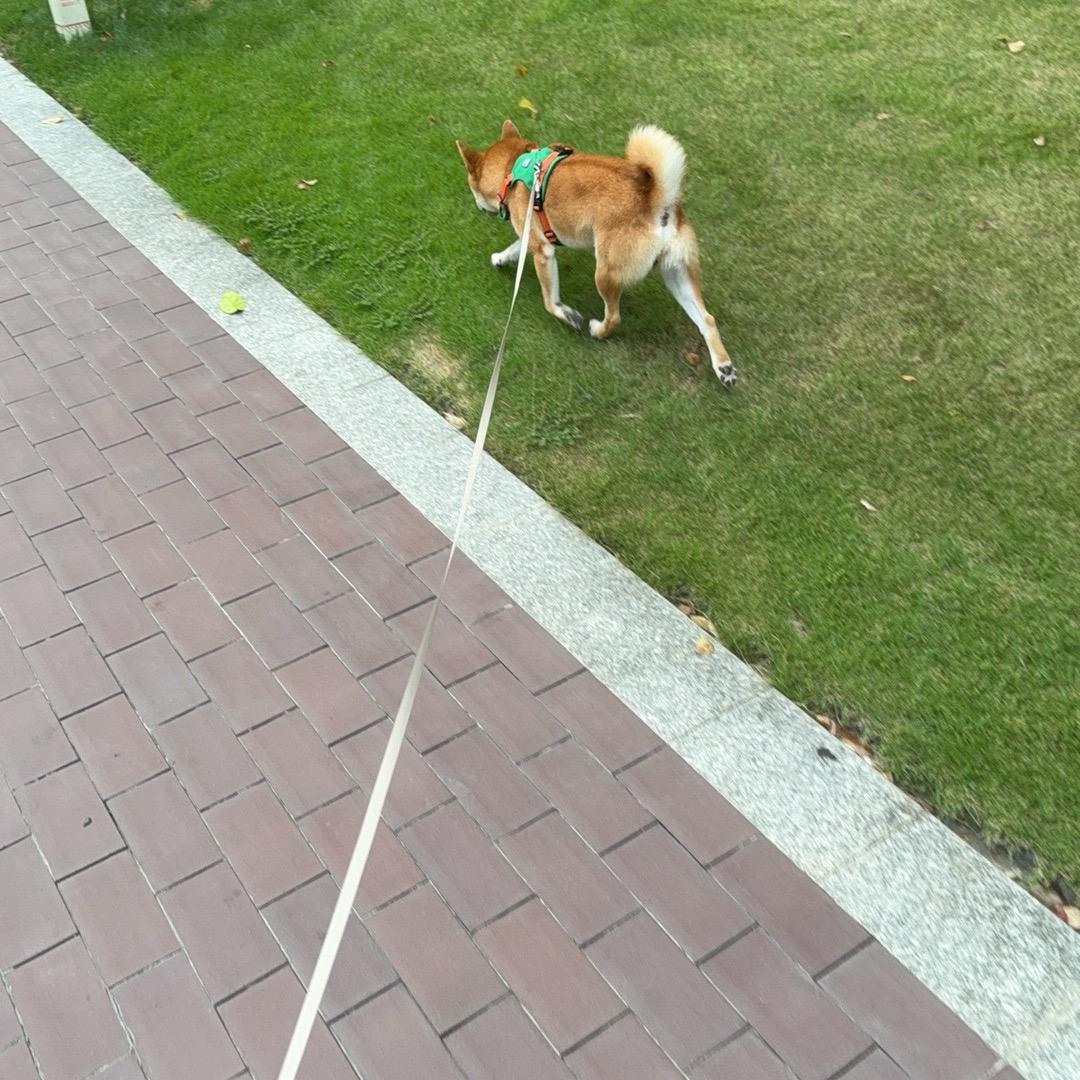 爱生活，爱自己。