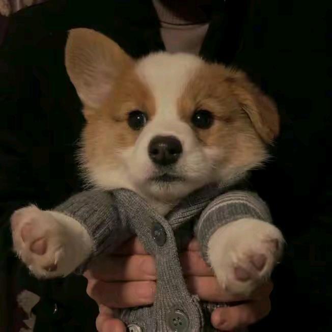 。。。。。