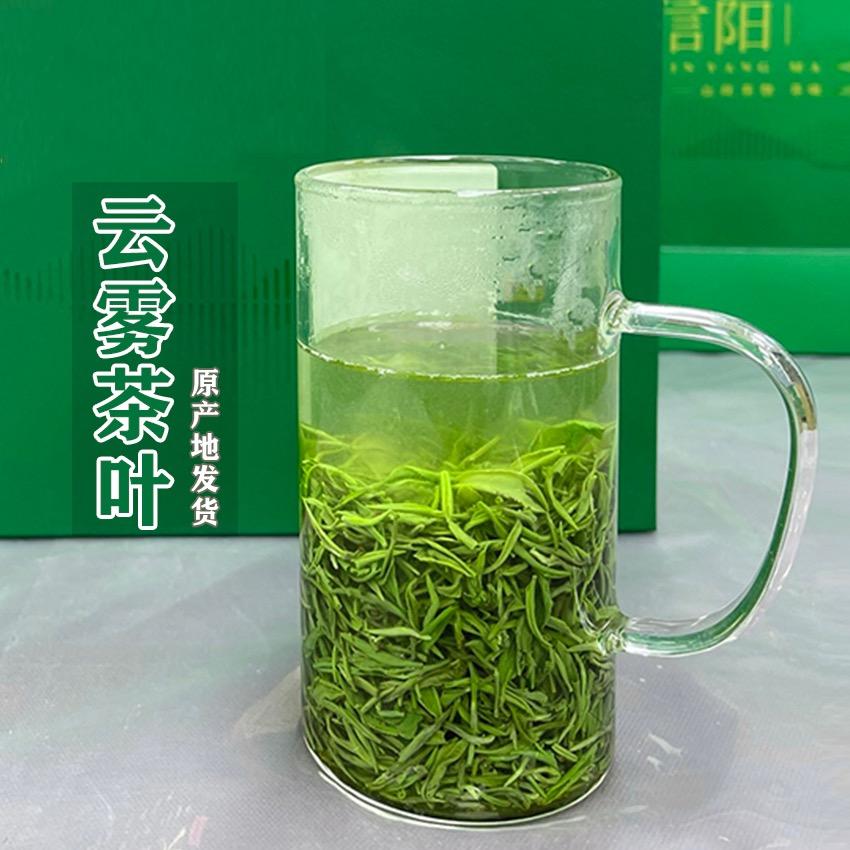 云雾茶叶·信阳毛尖(批发)
