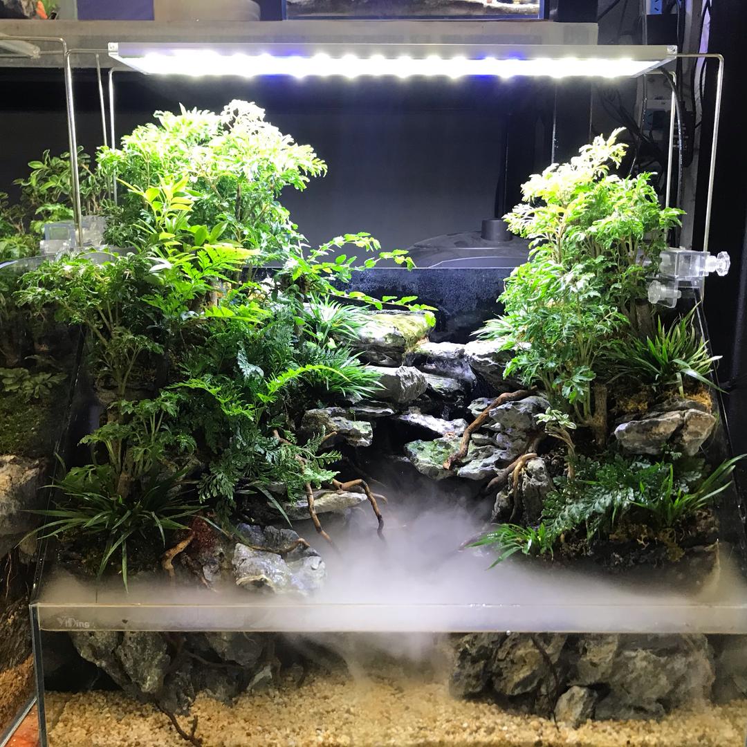 鱼乐森活水族馆