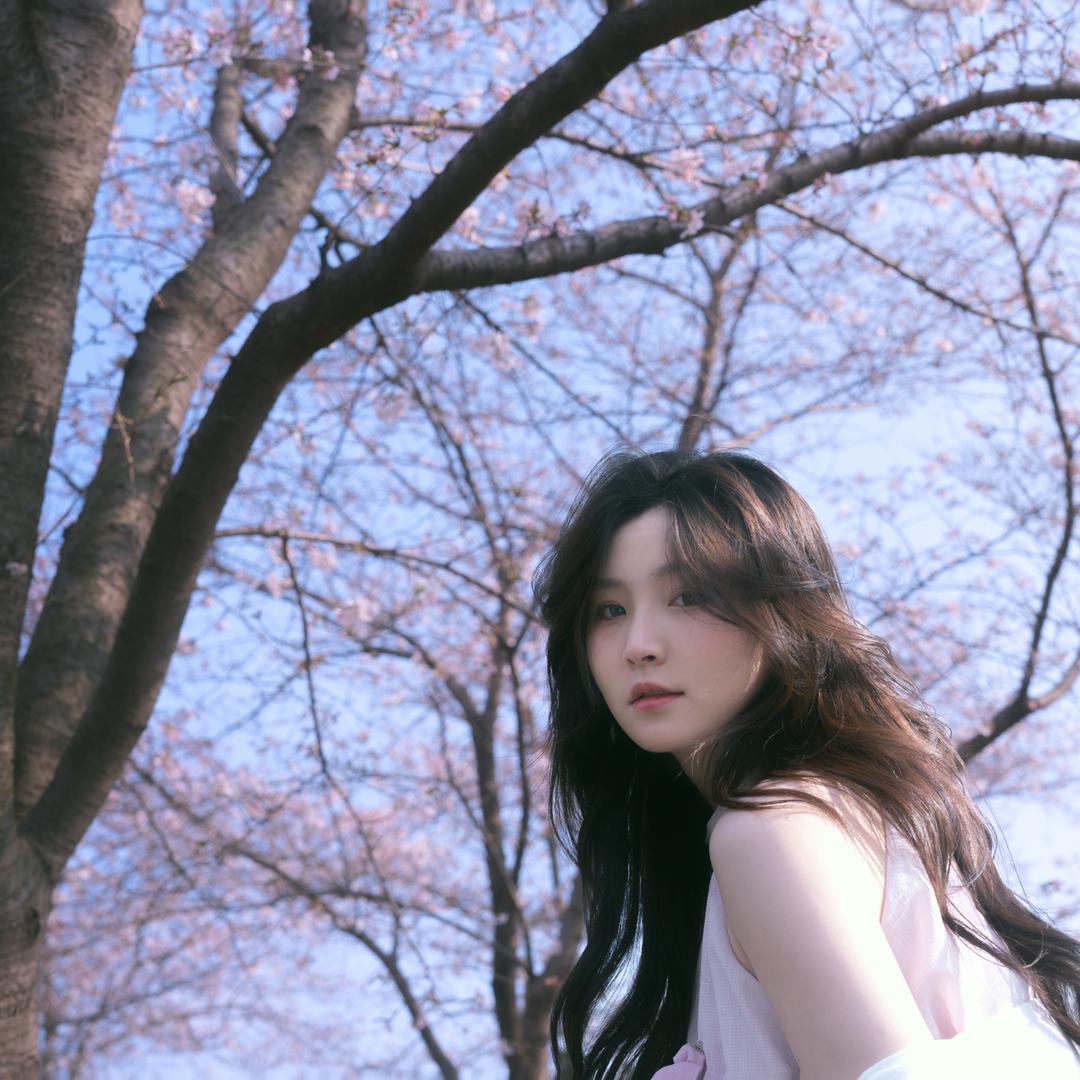 刘安妮ㅤ
