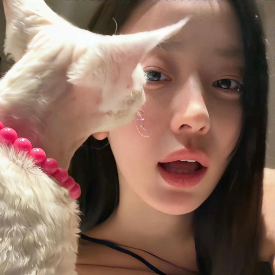 是年年呀