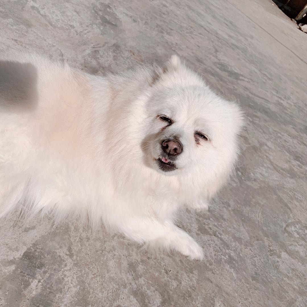 滕小婷
