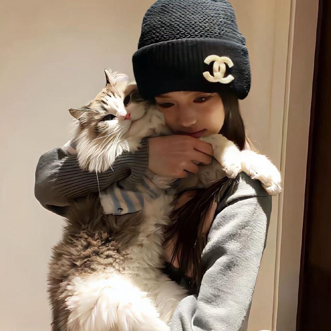 猫山王