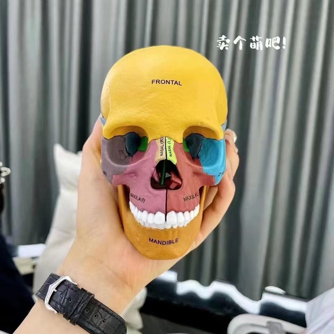 A．小酒窝 美学设计🪞