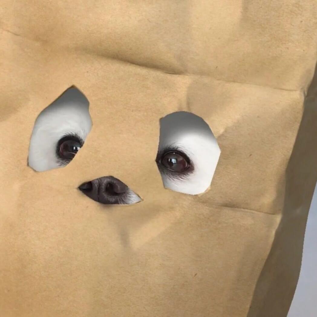 是fafa丫