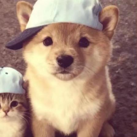 稚