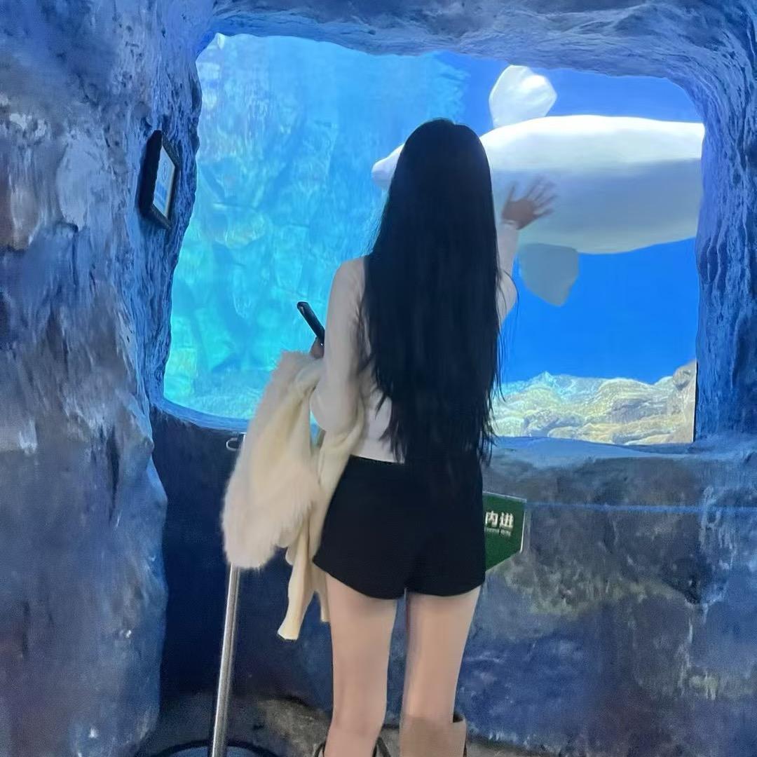 孕妈小侨 （孕晚期）