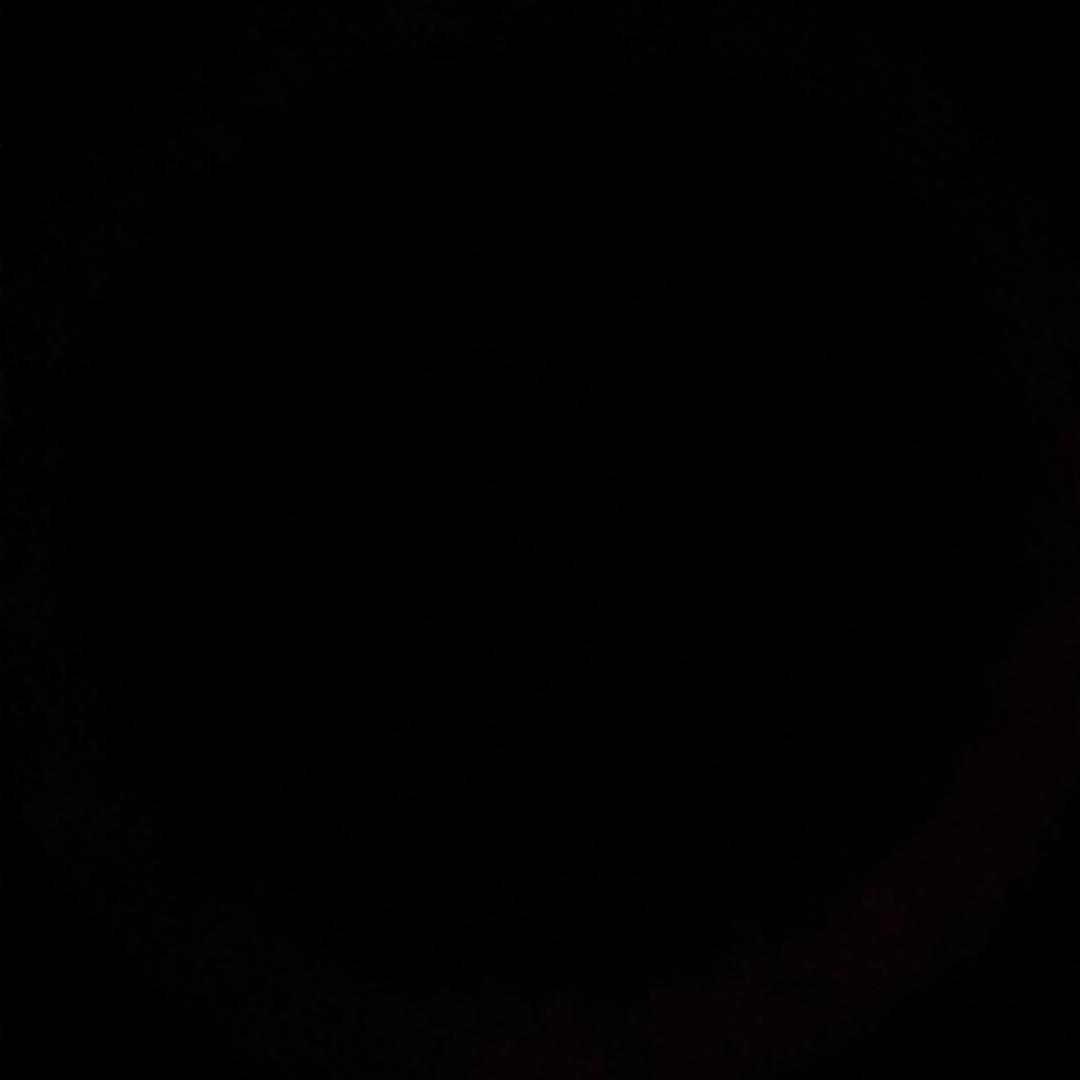 十一