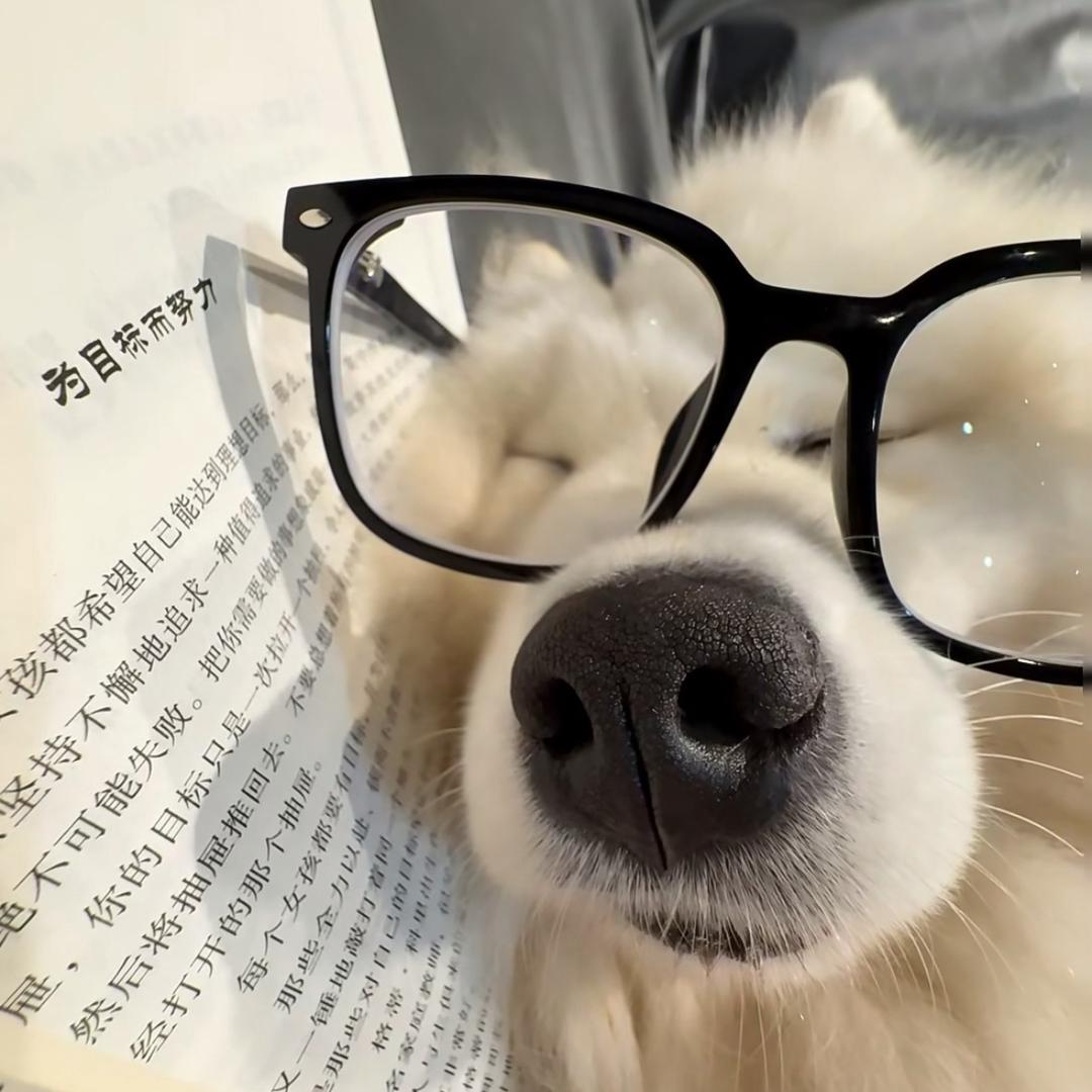 小bei壳