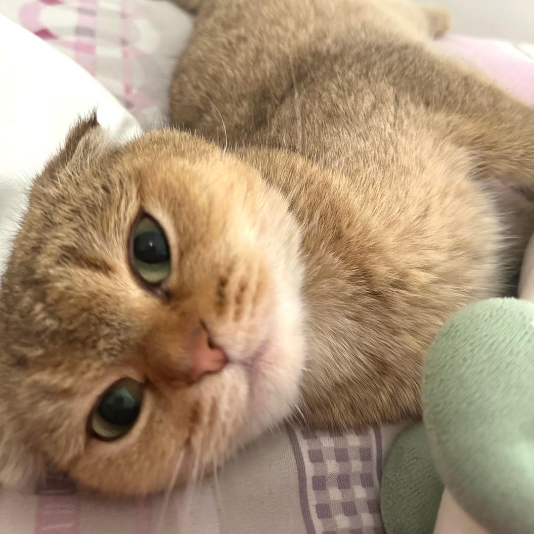 不知道改什么id