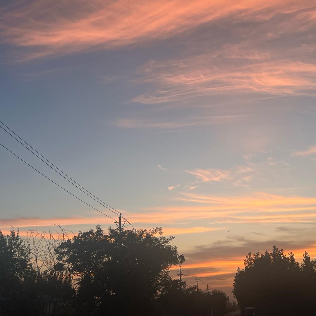 牛娃子•野火锅官方号