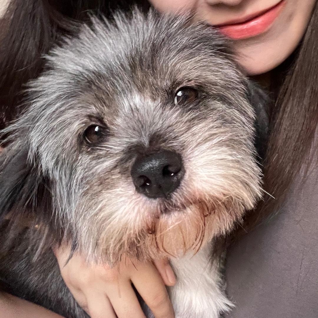 小小小小卷王